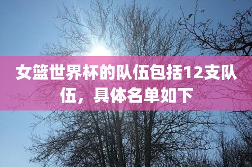 女篮世界杯的队伍包括12支队伍，具体名单如下洪湖市顺升工程机械租赁有限公司