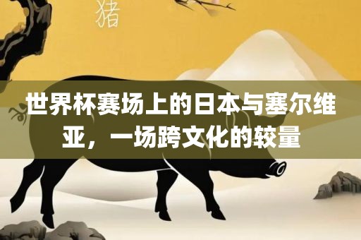 世界杯赛场上的日本与塞尔维亚，一场跨文化的较量洪湖市顺升工程机械租赁有限公司