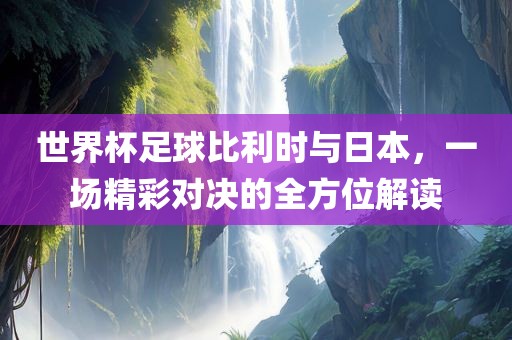 世界杯足球比利时与日本，一场精彩对决的全方位解读洪湖市顺升工程机械租赁有限公司