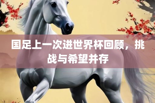 国足上一次进世界杯回顾，挑战与希望并存