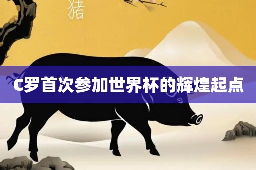 C罗首次参加世界杯的辉煌起点洪湖市顺升工程机械租赁有限公司