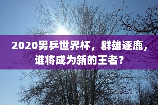 2020男乒世界洪湖市顺升工程机械租赁有限公司杯，群雄逐鹿，谁将成为新的王者？