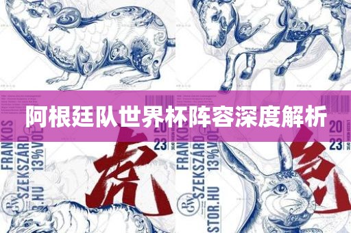 阿根廷队世界洪湖市顺升工程机械租赁有限公司杯阵容深度解析