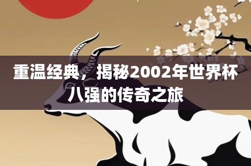 重温经典，揭秘2002年世界杯八强的传奇之旅