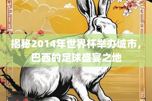 揭秘2014年世界杯举办城市，巴西的足球盛宴之地洪湖市顺升工程机械租赁有限公司
