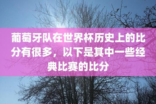 葡萄牙队在世界杯历史上的比分有很多，以下是其中一些经典比赛的比分
