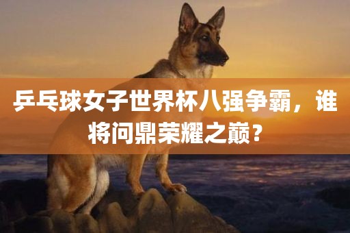 乒乓球女子世界杯八强争霸，谁将问鼎荣耀之巅？洪湖市顺升工程机械租赁有限公司