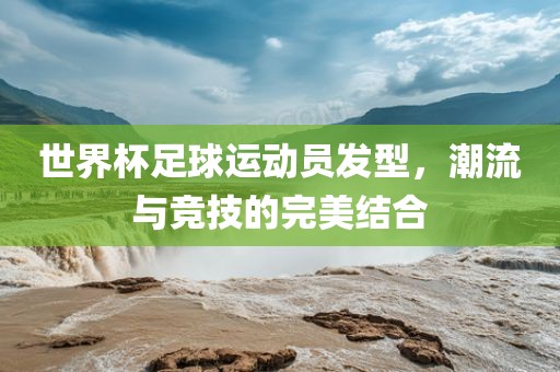 世界杯足球运动员发型，潮流与竞技的完美结合洪湖市顺升工程机械租赁有限公司