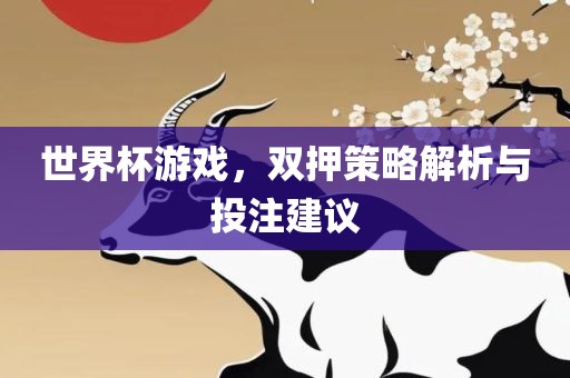 世界杯游戏，双押策略解析与投注建议洪湖市顺升工程机械租赁有限公司