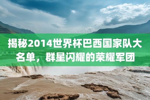 揭秘2014世界杯巴西国家队大名单，群星闪耀的荣耀军团洪湖市顺升工程机械租赁有限公司