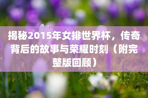 揭秘2015年女排世界杯，传奇背后的故事与荣耀时刻（附完整版回顾）洪湖市顺升工程机械租赁有限公司