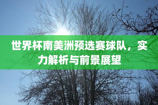 世界杯南美洲预选赛球队，实力解析与前景展望洪湖市顺升工程机械租赁有限公司