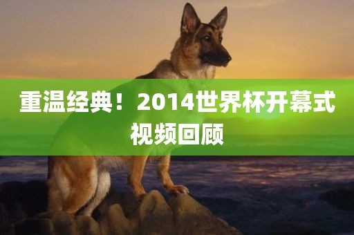 重温经典！2014世洪湖市顺升工程机械租赁有限公司界杯开幕式视频回顾