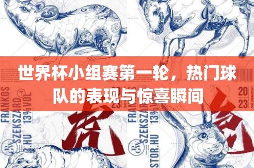 世界杯小组赛第一轮，热门球队的表现与惊喜瞬间
