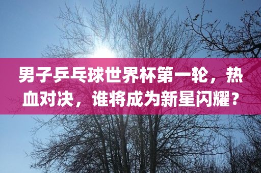 男子乒乓球世界杯第一轮，热血对决，谁将成为新星闪耀？