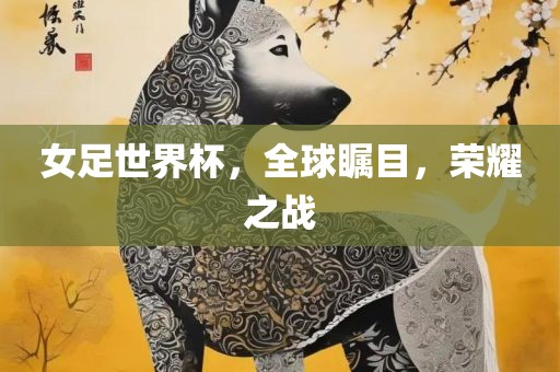 女足世界杯，全球瞩目，荣耀之战洪湖市顺升工程机械租赁有限公司