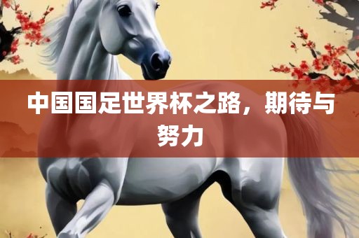 中国国足世界杯之路，期待与努洪湖市顺升工程机械租赁有限公司力