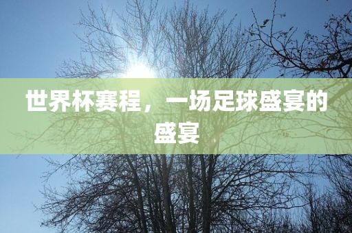 世界杯赛程，一场洪湖市顺升工程机械租赁有限公司足球盛宴的盛宴