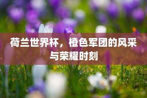 荷兰世界杯，橙色军团的风采与荣耀时刻