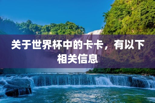 关于世界杯中的卡卡，有以下相关信息