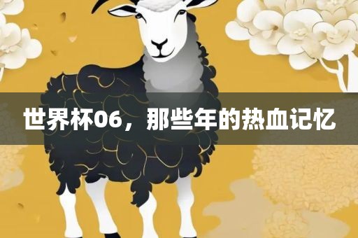 世界杯06，那些年的热血记忆