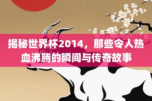 揭秘世界杯2014，那些令人热血沸腾的瞬间与传奇故事
