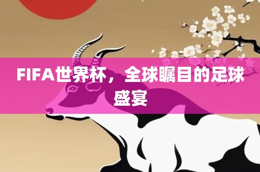 足球盛宴 第6页