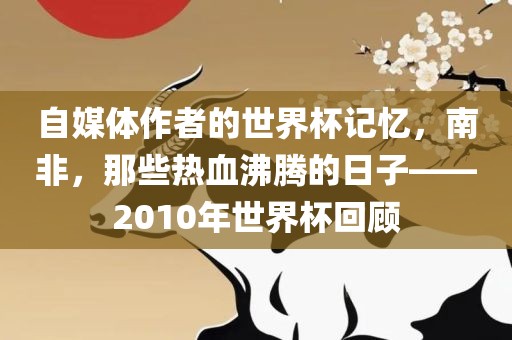 自媒体作者的世界杯记忆，南非，那些热血沸腾的日子——2010年世界杯回顾
