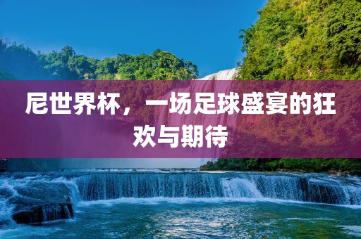 尼世界杯，一场足球盛宴的狂欢与期待洪湖市顺升工程机械租赁有限公司
