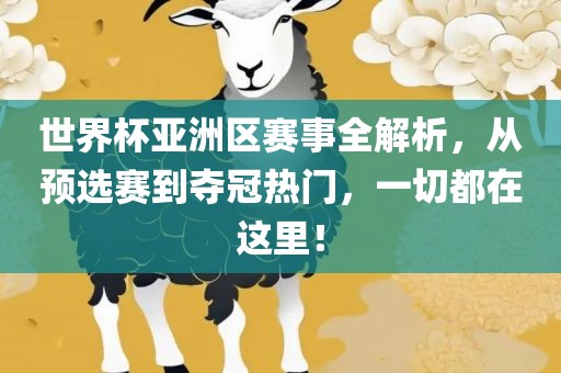 世界杯亚洲区赛事全解析，从预选赛到夺冠热门，一切都在这里！