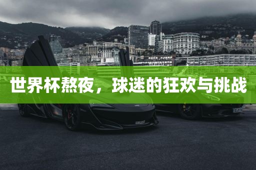 世界杯熬夜，球迷的狂欢与挑战洪湖市顺升工程机械租赁有限公司