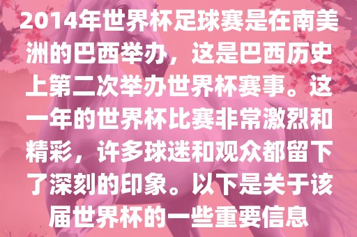 巴西世界杯 第13页