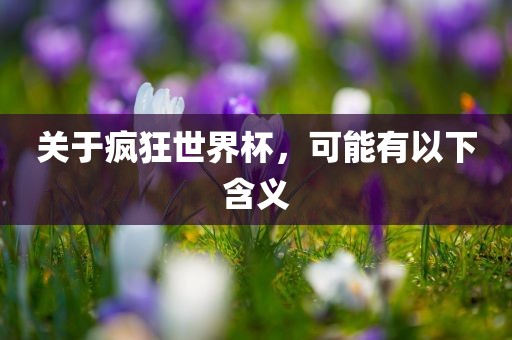 关于疯狂世界杯，可能有以下含义洪湖市顺升工程机械租赁有限公司