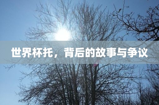 世界杯托，背后的故事与争议