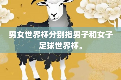 男女世界杯分别指男子和女子足球世界杯。