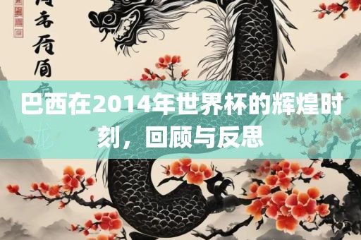 巴西在2014年世界杯的辉煌时刻，回顾与反思