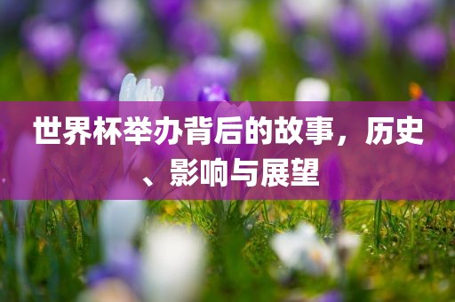 世界杯举办背后的故事，历史、影响与展望