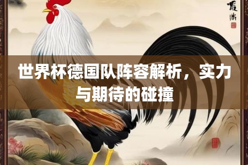 世界杯德国队阵容解析，实力与期待的碰撞