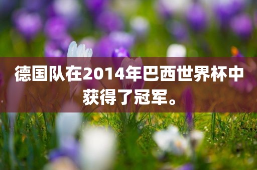 德国队在2014年巴西世界杯中获得了冠军。