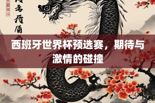 西班牙世界杯预选赛，期待与激情的碰撞