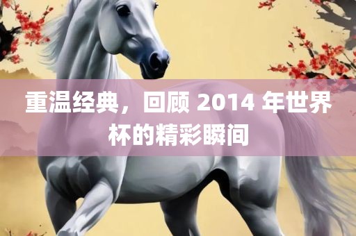 重温经典，回顾 2014 年世界杯的精彩瞬间