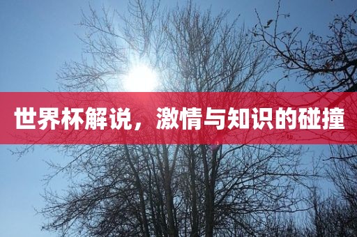 世界杯解说，激情与知识的碰撞