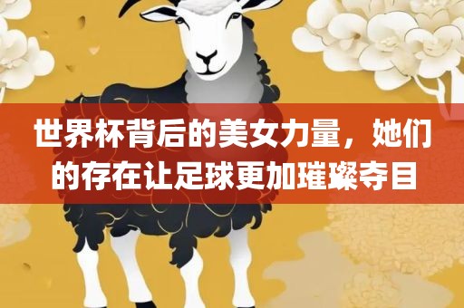 世界杯背后的美女力量，她们的存在让足球更加璀璨夺目洪湖市顺升工程机械租赁有限公司