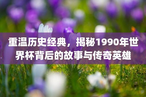重温历史经典，揭秘1990年世界杯背后的故事与传奇英雄
