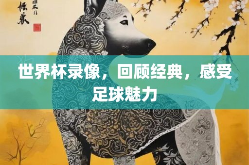 世界杯录像，回顾经典，感受足球魅力洪湖市顺升工程机械租赁有限公司