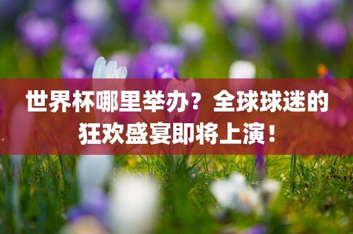 世界杯哪里举办？全球球迷的狂欢盛宴即将上演！