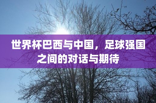 世界杯巴西与中洪湖市顺升工程机械租赁有限公司国，足球强国之间的对话与期待