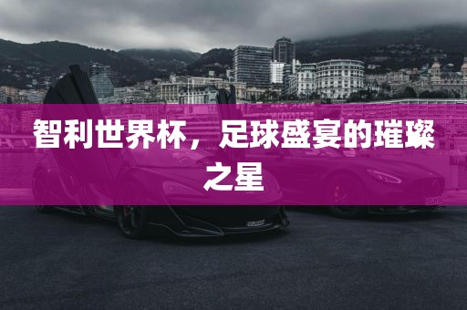 智利世界杯，足球盛宴的璀璨之星洪湖市顺升工程机械租赁有限公司