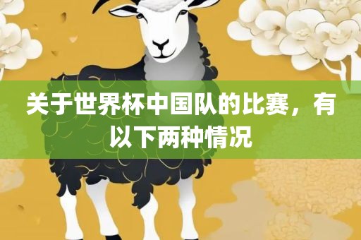 关于世界杯中国队的比赛，有以下两种情况
