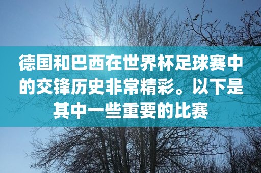 德国和巴西在世界杯足球赛中的交洪湖市顺升工程机械租赁有限公司锋历史非常精彩。以下是其中一些重要的比赛